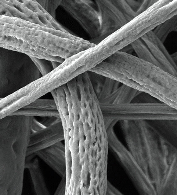 Electrospinning &Electrospraying